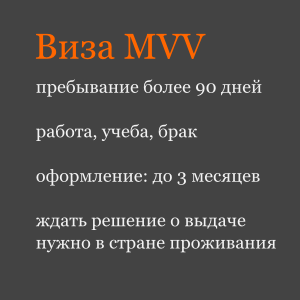Виза MVV