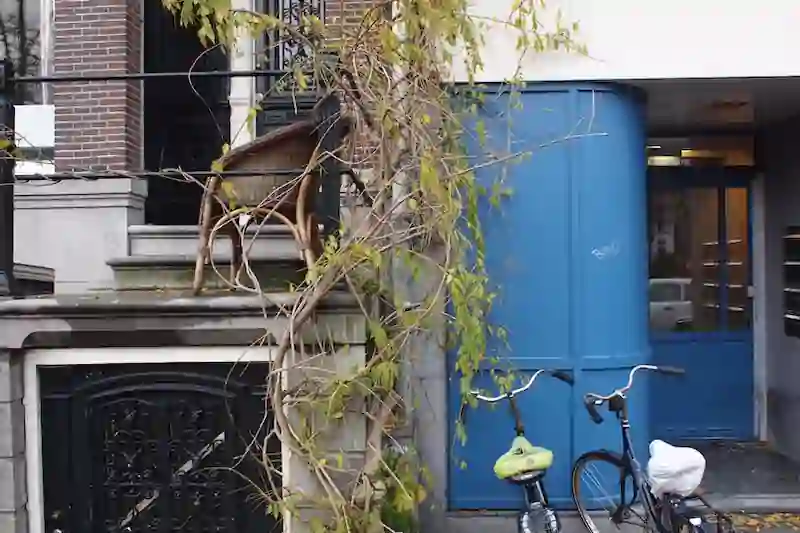 VERYDUTCH